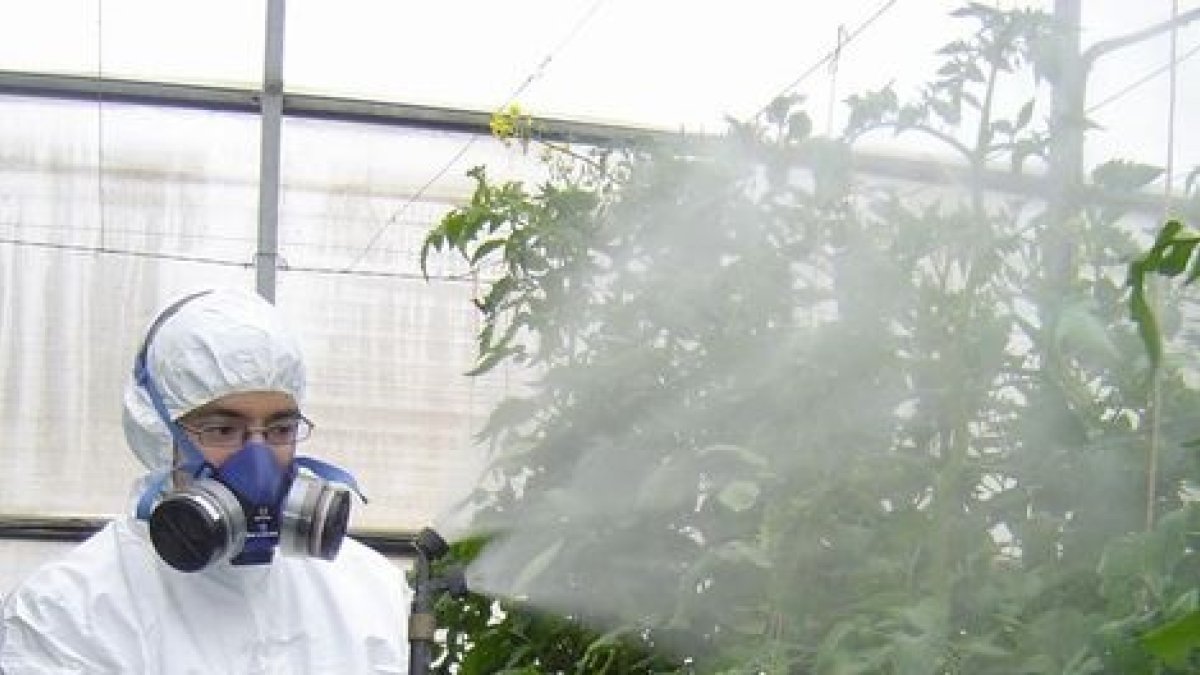 Los cursos para aplicadores, entre los más demandados.