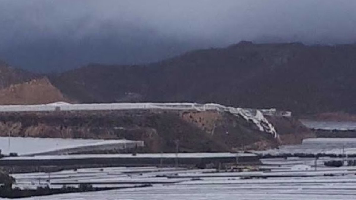 COAG habla de los primeros daños en los invernaderos.
