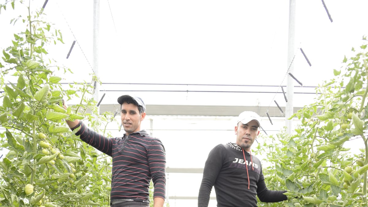 Agricultores posan dentro del invernadero.