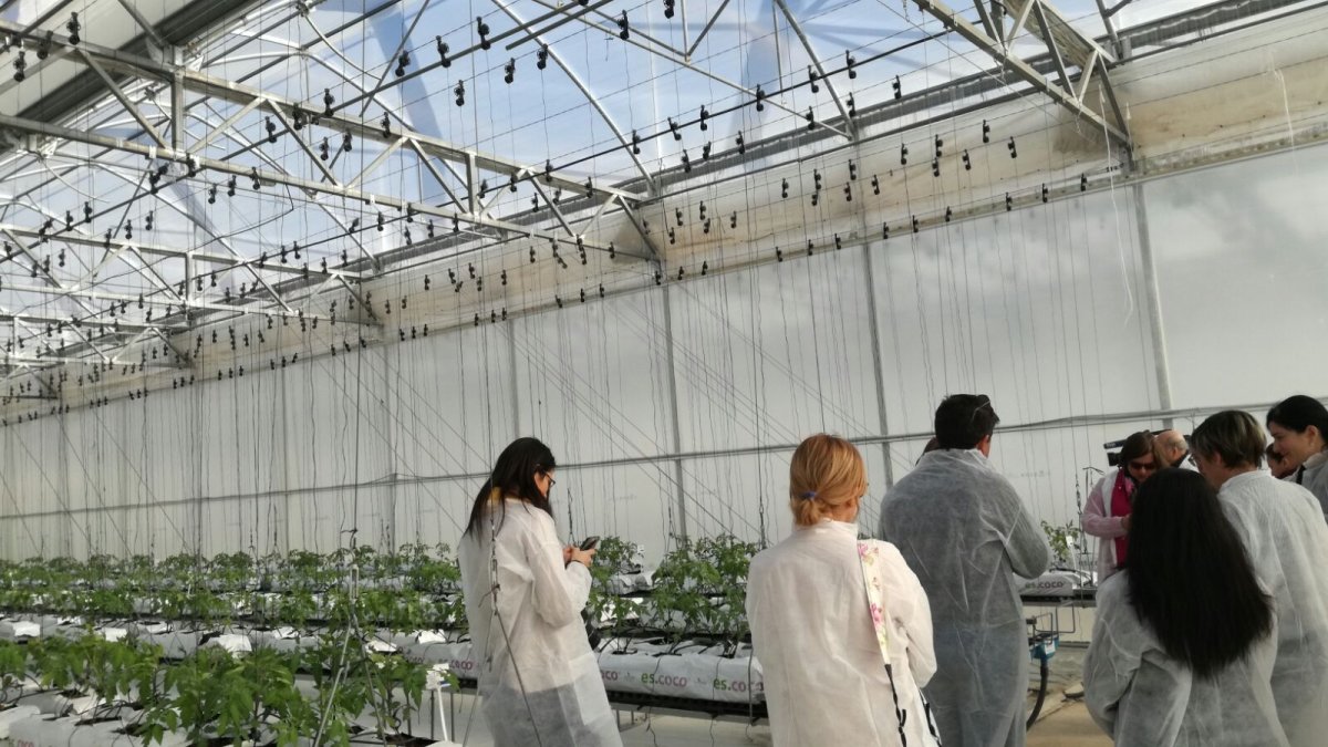 Prototipo de invernadero para distintos cultivos en el centro experimental de Tecnova.