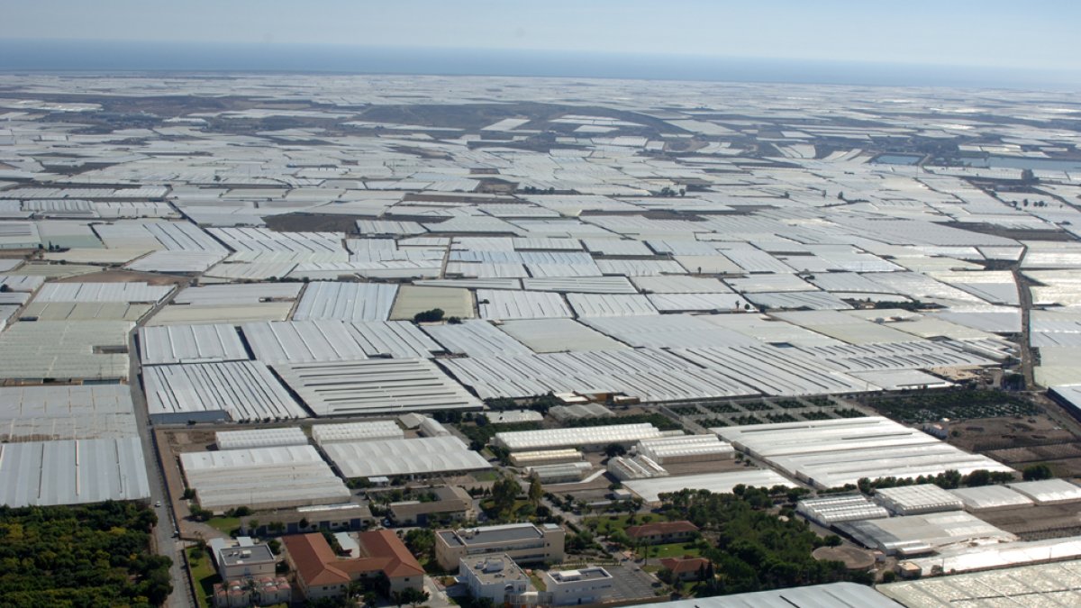 Imagen aérea del ecosistema de invernaderos de la provincia de Almería.