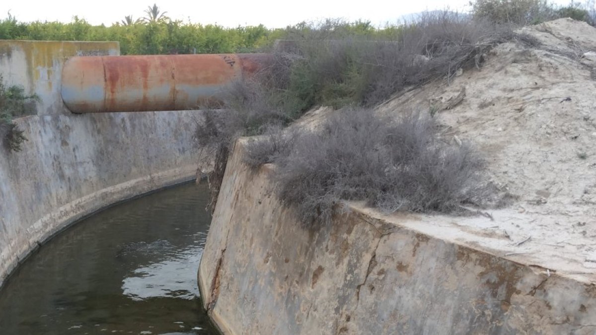 Canal de la Vega Baja, en Alicante.