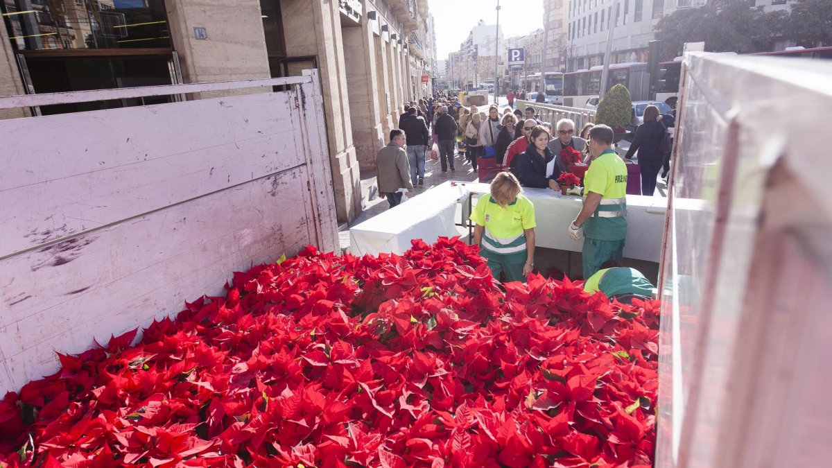Reparto de pascueros