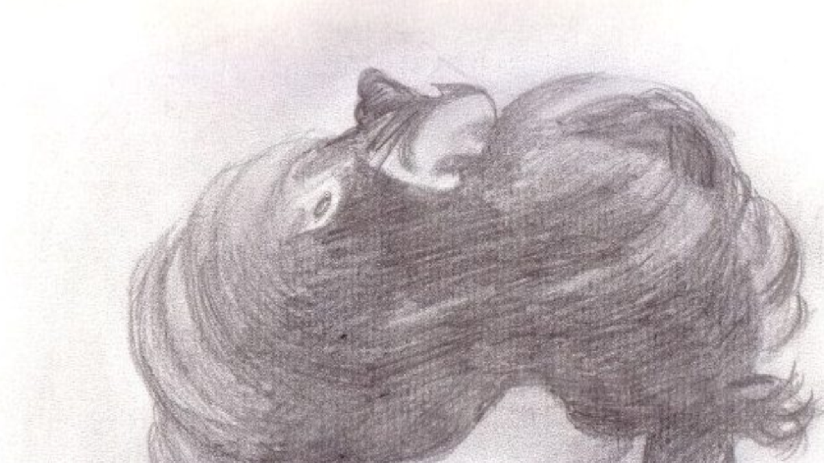 Cartel de la actividad con ilustración de Santiago Girón.