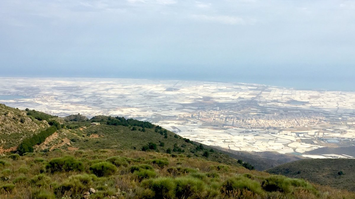 Imagen del Campo de Dalías desde la Sierra de Gádor