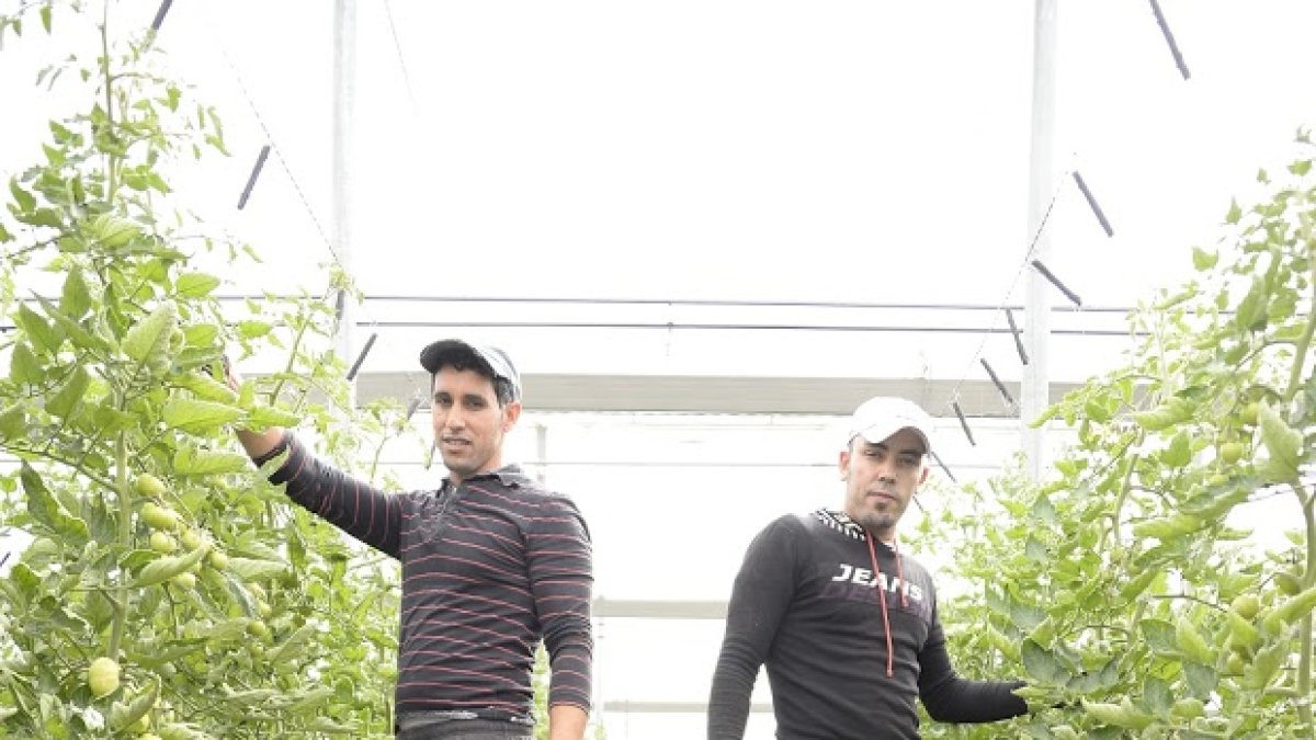 La convocatoria de ayudas de 2016 ha permitido la incorporación de más de cien jóvenes al campo almeriense.