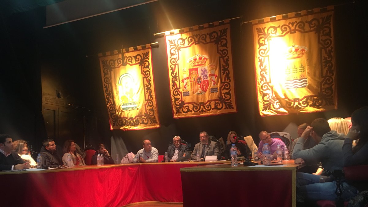 Sesión plenaria celebrada la noche del jueves en Albox.