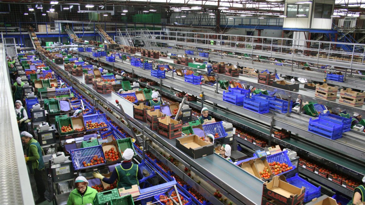 La actividad  agroalimentaria almeriense es la que aporta la mayor parte de la cifra de negocios de la provincia.