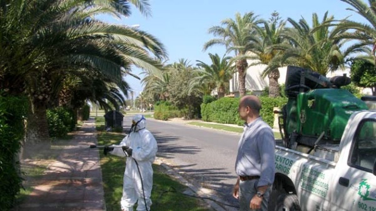 El concejal de Medio Ambiente, Manolo Gómez, supervisando trabajos de fumigación en Almerimar