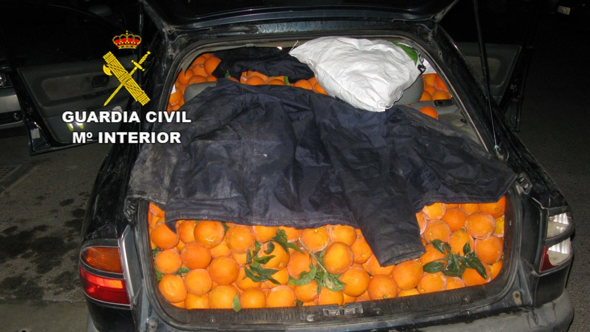 Estado en el que las naranjas eran transportadas.