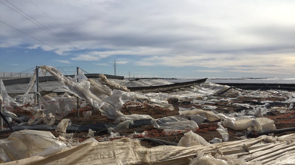 Invernadero dañado tras el paso del tornado