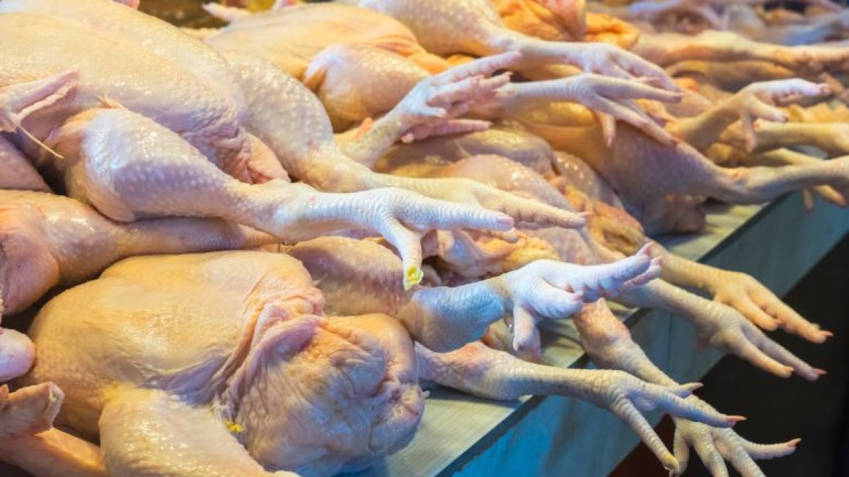 En algunas granjas se sigue medicando a las aves de corral con antibióticos fluoroquinolónicos.