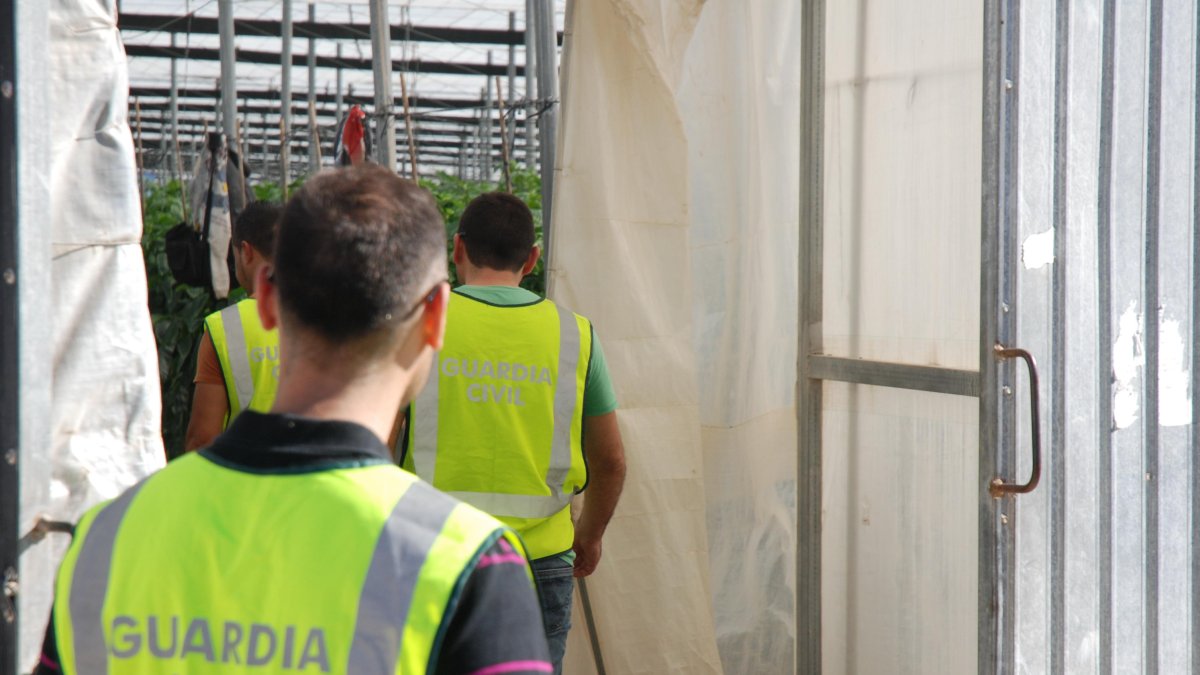 Agentes de la Guardia Civil durante una operación.