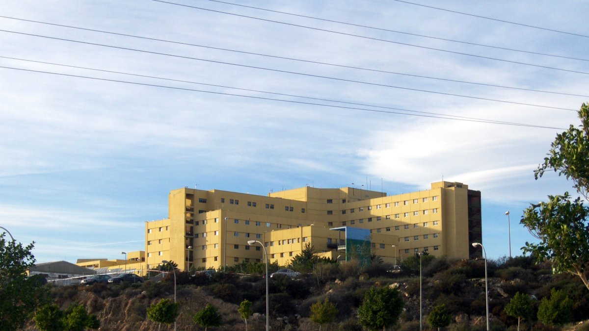 El herido se encuentra ingresado en la UCI de Torrecárdenas.