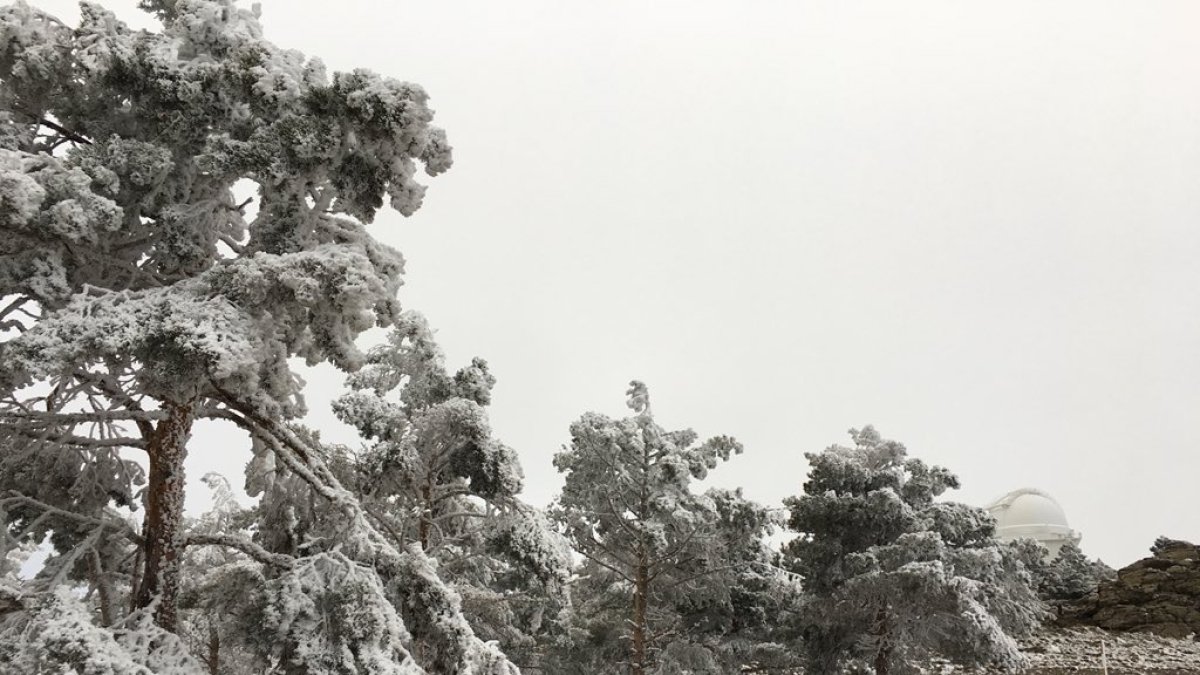 la nieve llegó ya ayer a la zona de Calar Alto (foto de J.A. Fuentes)