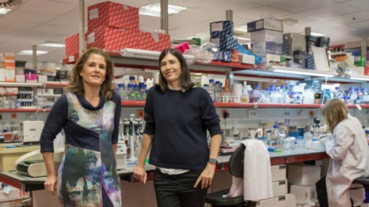Paula Martínez (izq.) y Maria A. Blasco (drcha.), principales autoras del trabajo. / CNIO