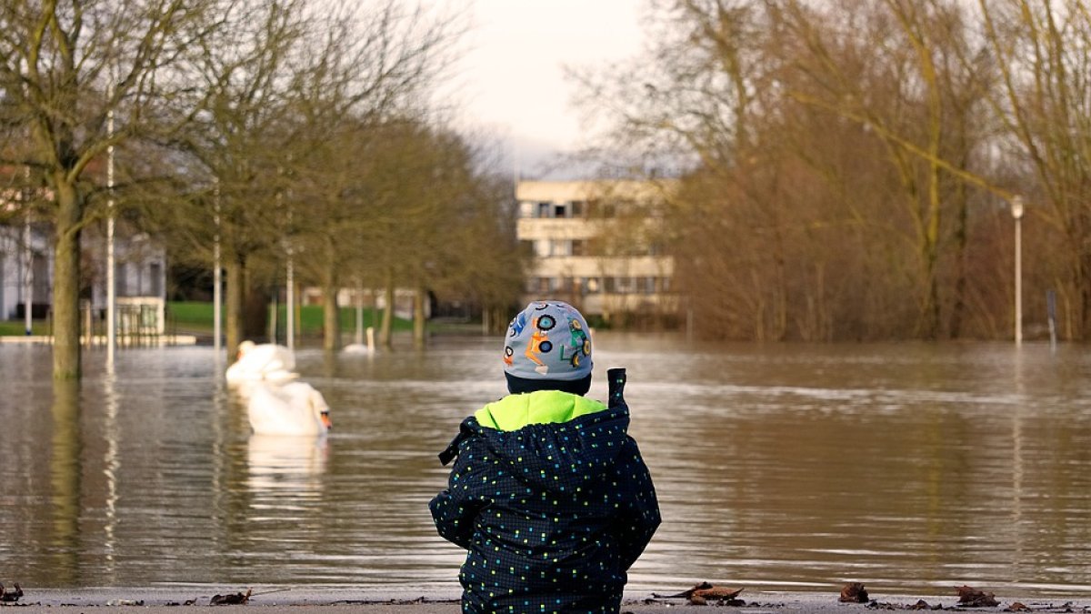 El pequeño ha ingresado en un centro de protección de menores.
