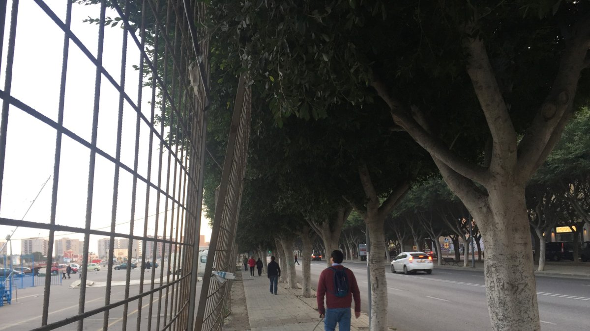 Situación en la que se encuentra la valla.