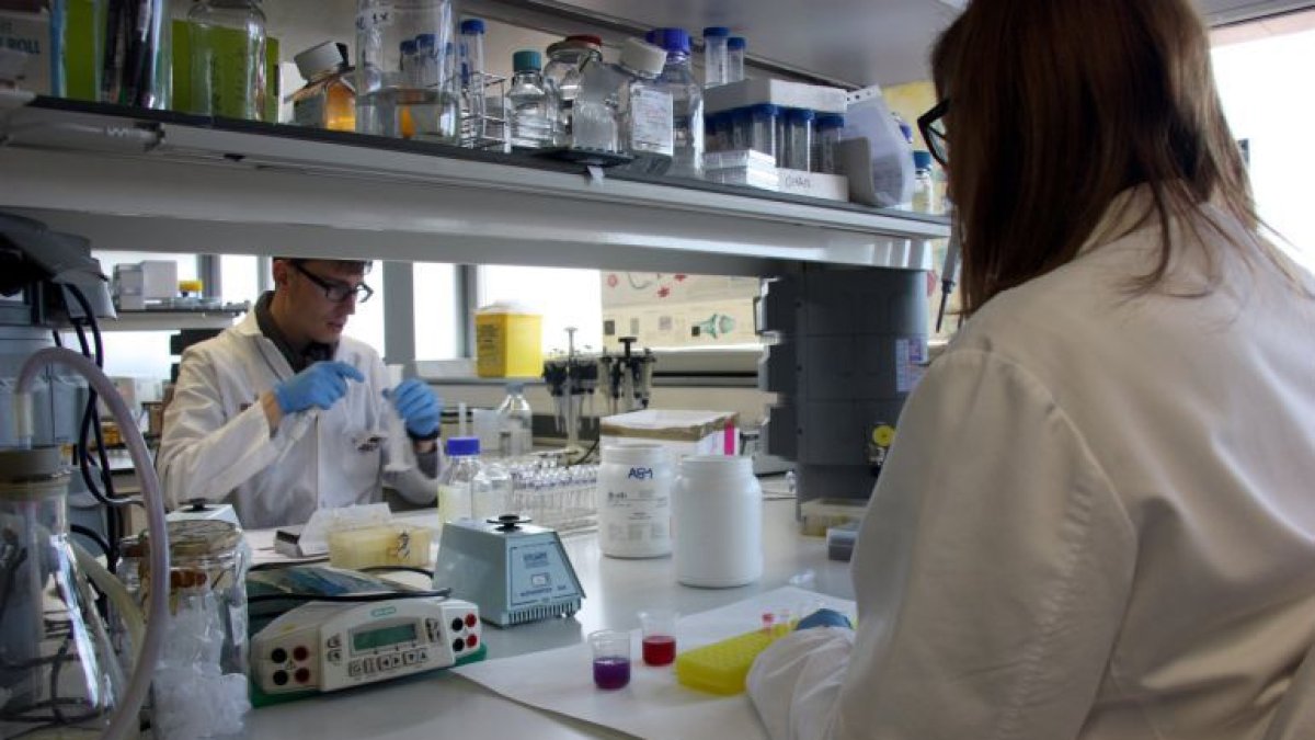 El cáncer sigue creciendo en España, con 228.482 nuevos casos en 2017.