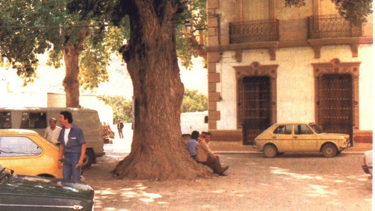 El olmo de Terque, en una fotografía antigua.