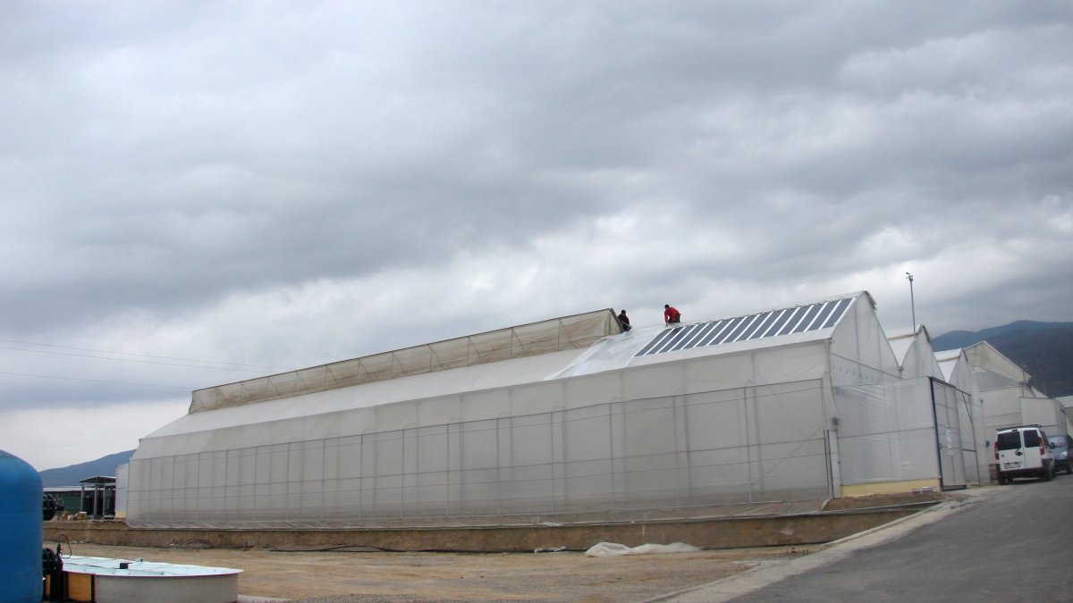 Invernadero de alta tecnología en Almería.