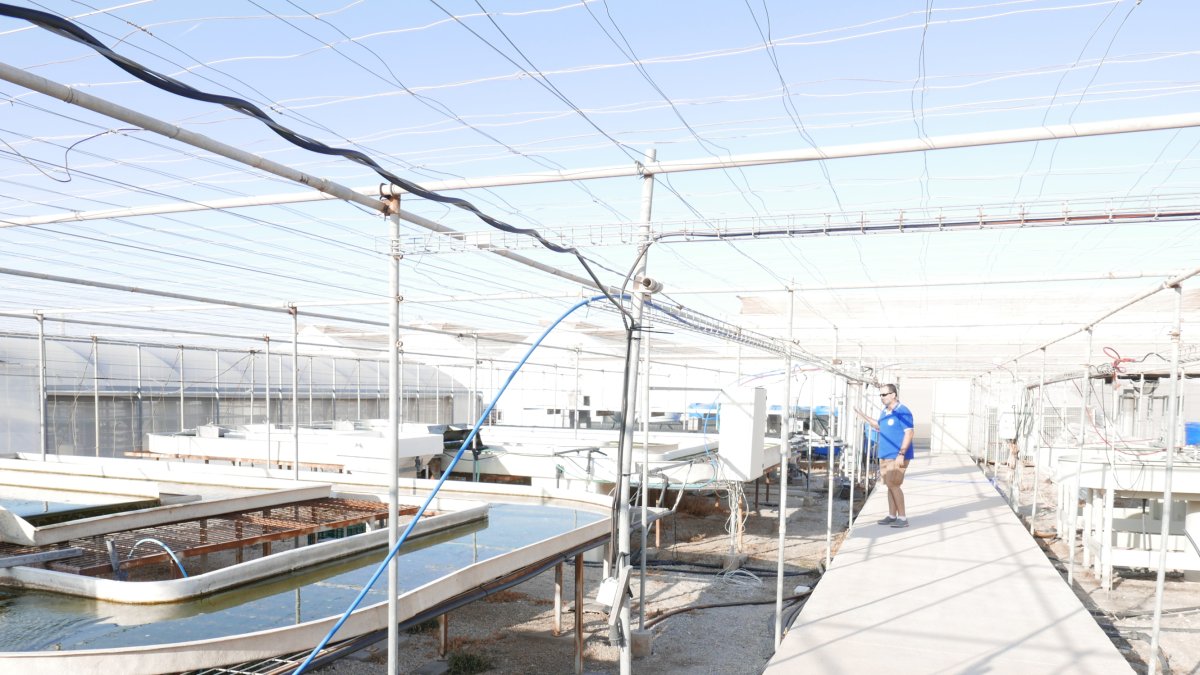 Instalaciones para ensayos demostrativos del proyecto Sabana en la Estación Experimental de Cajamar.