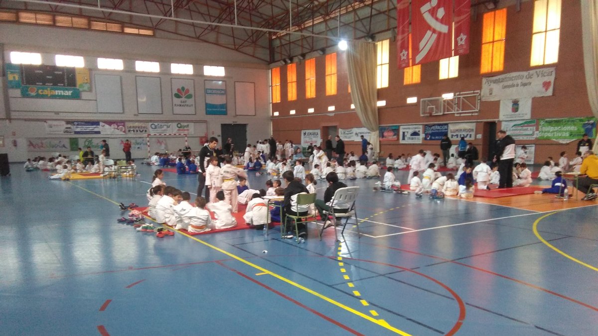 Judo en el pabellón de La Gangosa.