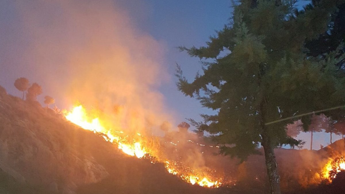 Incendio declarado esta tarde en Cabrera, Turre (Imagen de Bomberos del Levante).