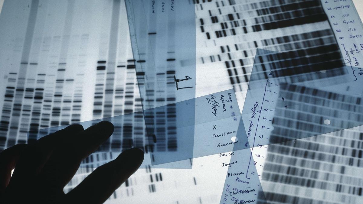 Un investigador con muestras de ensayos clínicos.