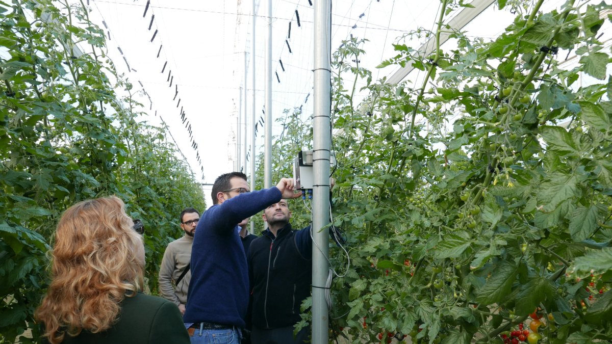 Intercambio de información entre agricultores, técnicos e investigadores dentro del proyecto Internet of Food and Farm.