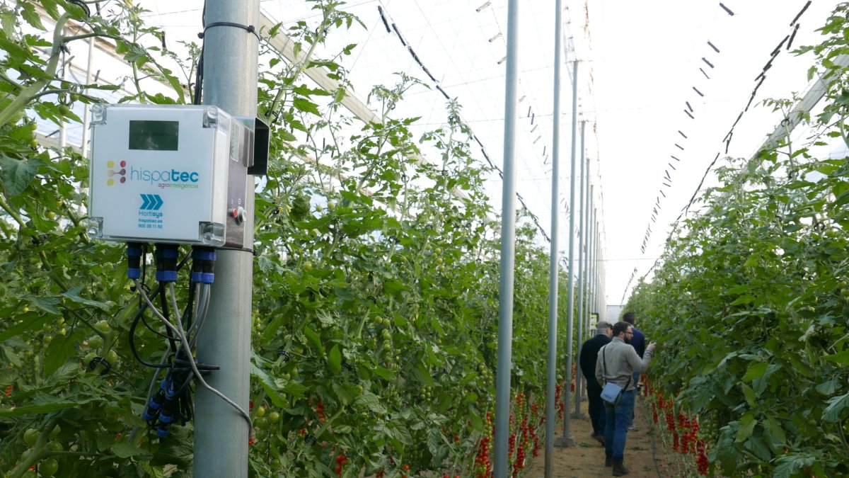 Dispositivo inteligente de Hispatec para la recogida de datos del cultivo en un invernadero de Almería.