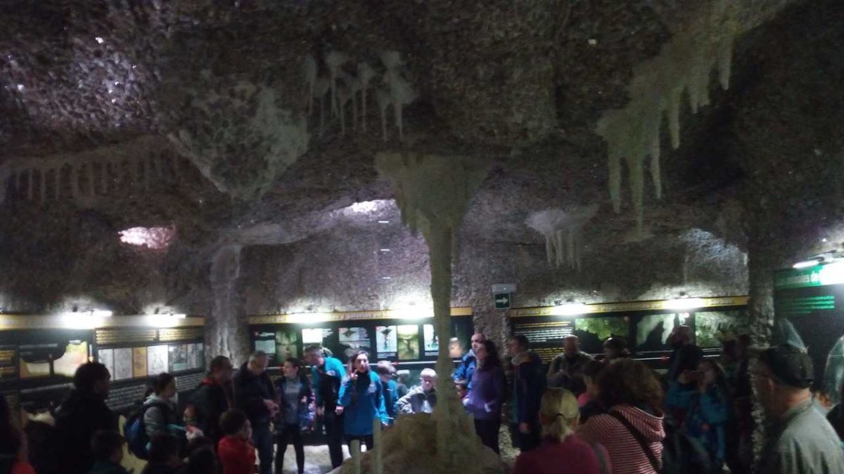 Una actividad muy demandada.