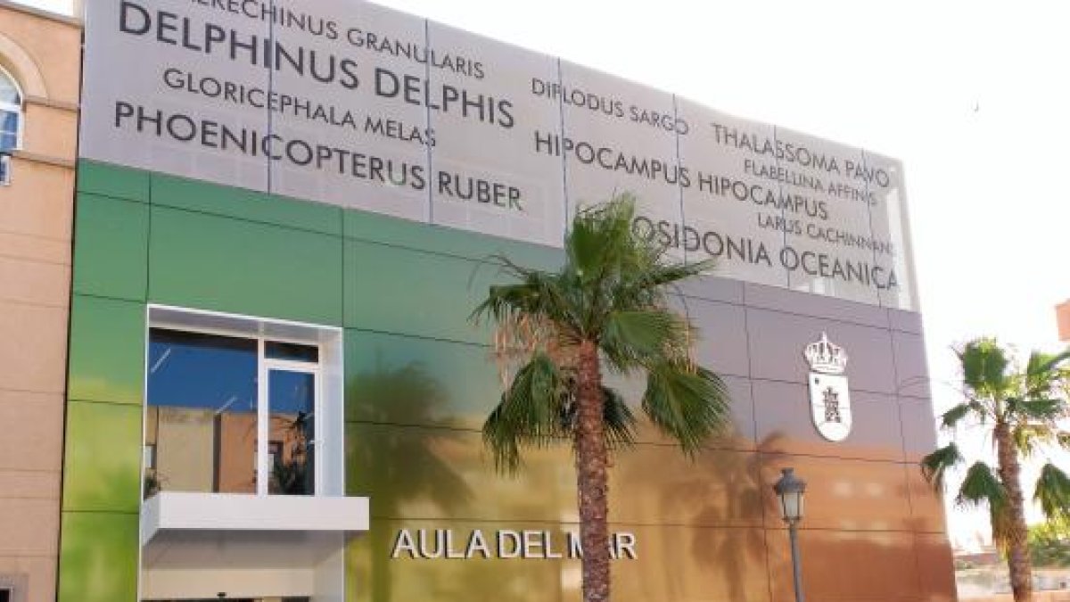 El Aula del Mar ofrece actividades lúdicas y divulgativas para todas las edades.