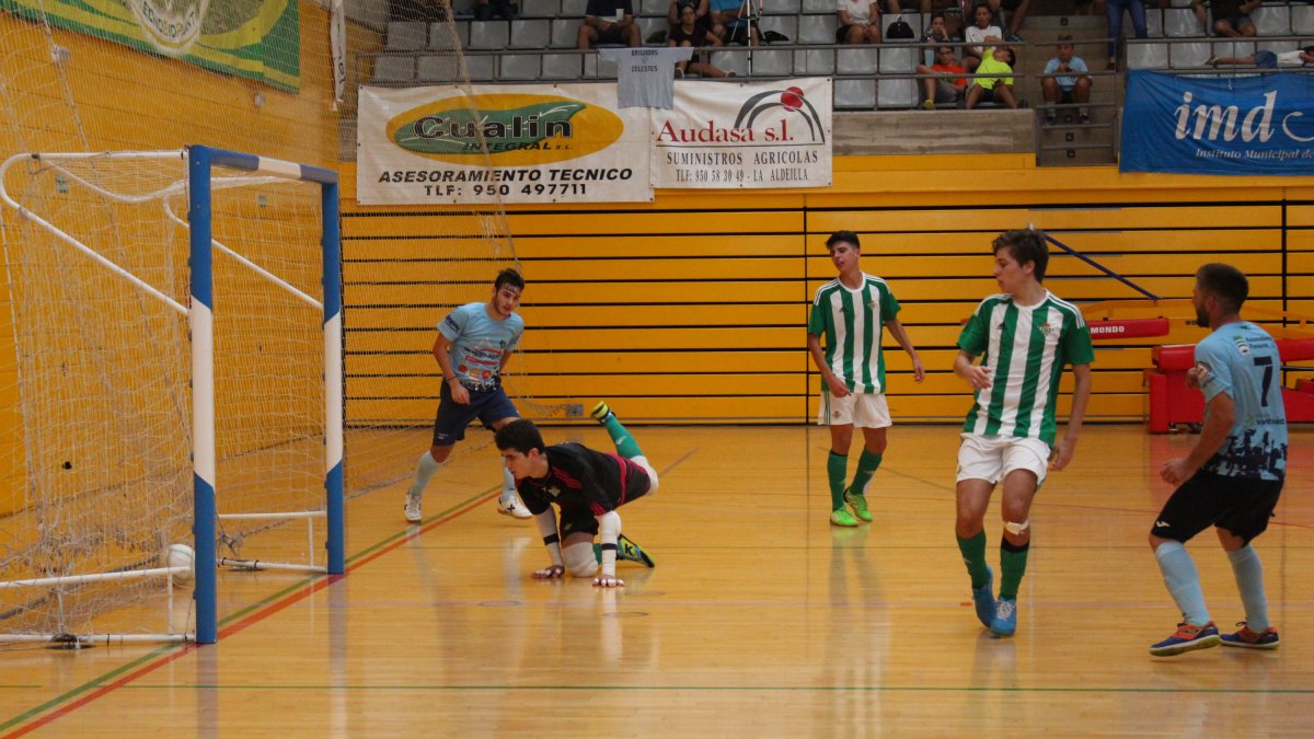 Imagen de un partido liguero celebrado en el pabellón de El Ejido.