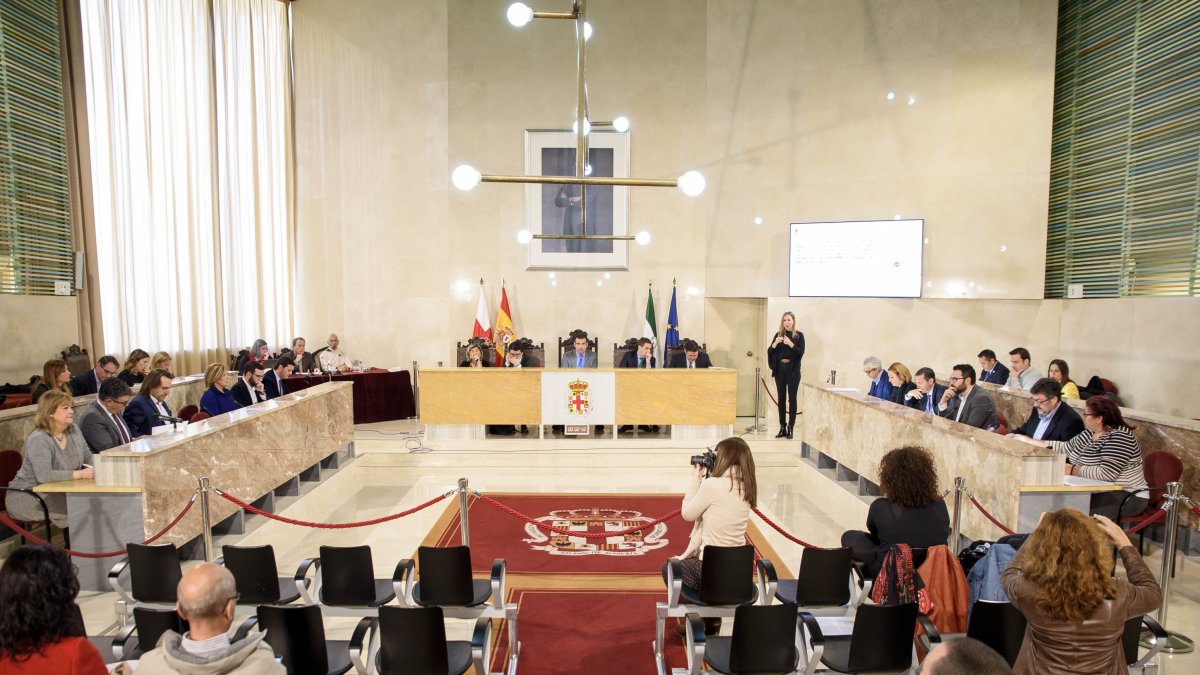 Visión general del salón de plenos durante la sesión