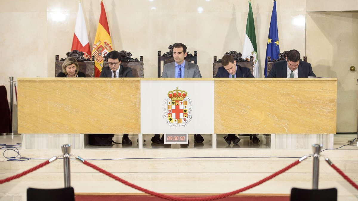 Pleno del Ayuntamiento de Almería celebrado esta mañana.