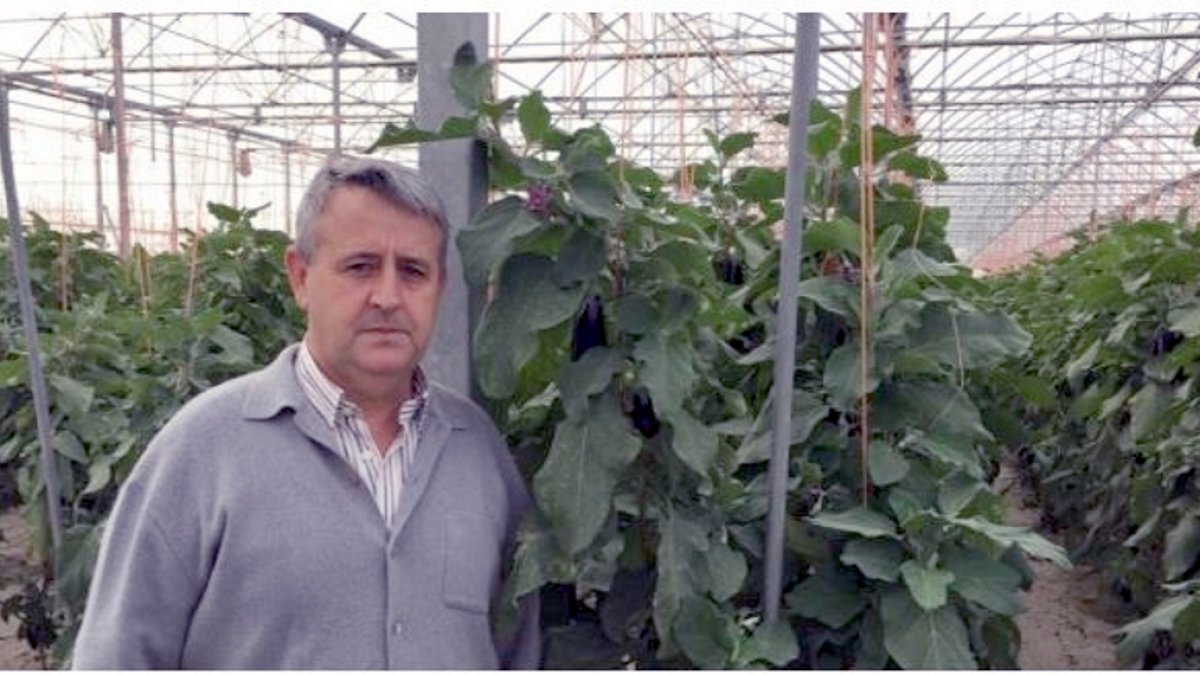 Carlos Gómez comercializa la mayor parte de su producción en el mercado británico a lo largo de los 12 meses del año.