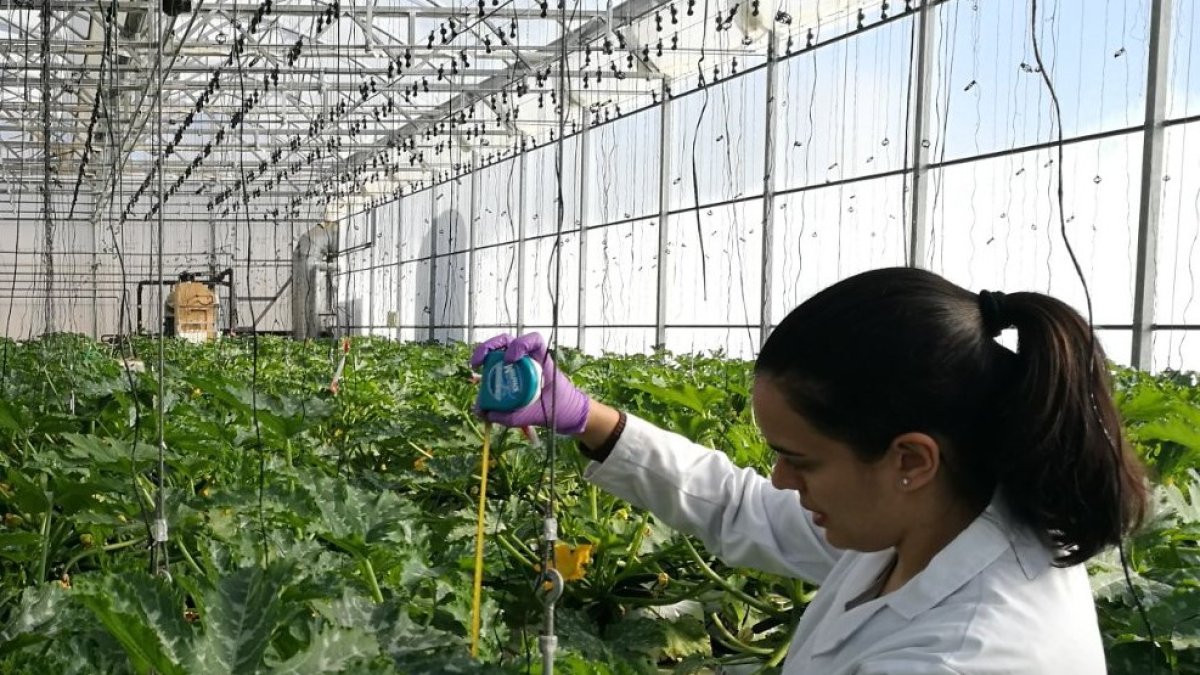 Ensayos en el centro experimental de Tecnova.