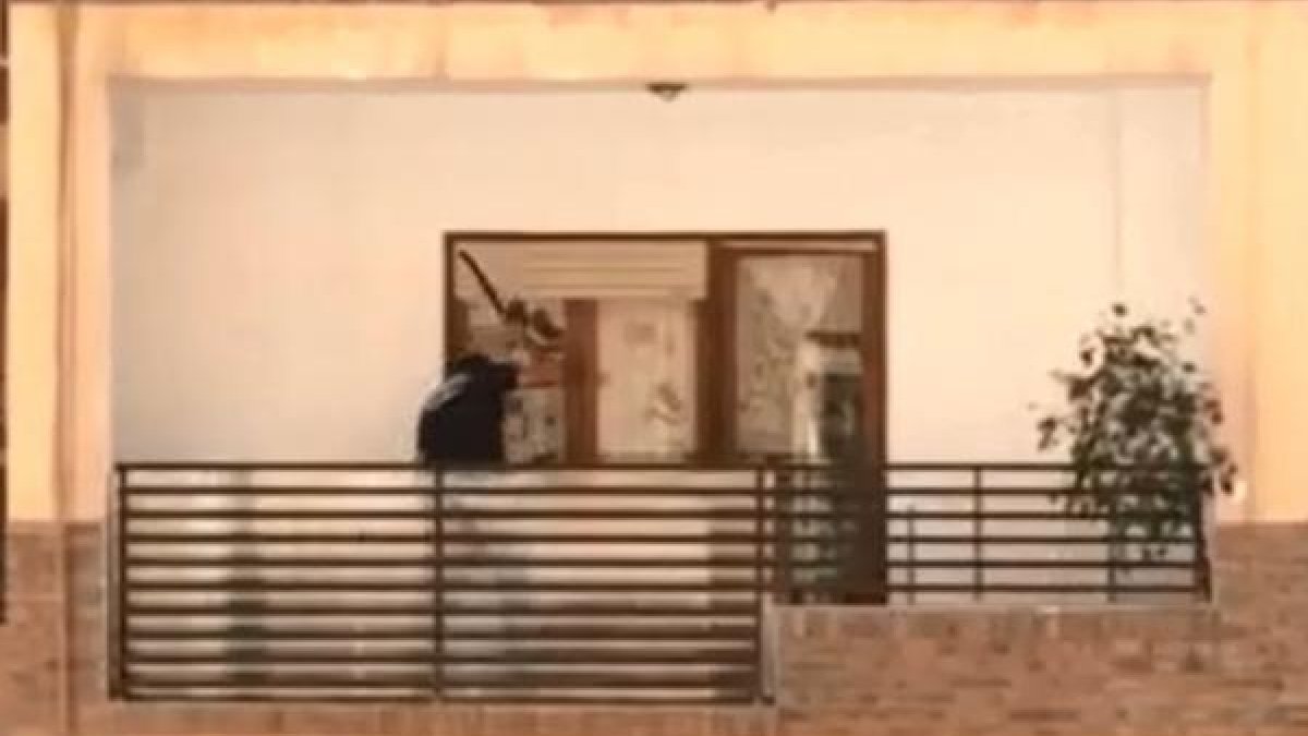 El hombre golpea con la correa al animal en el balcón