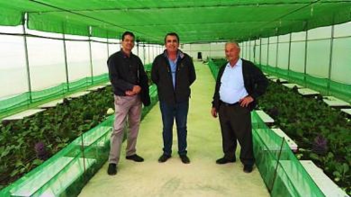 Alberto Urea, Matías Gómez y Alfonso García en la granja