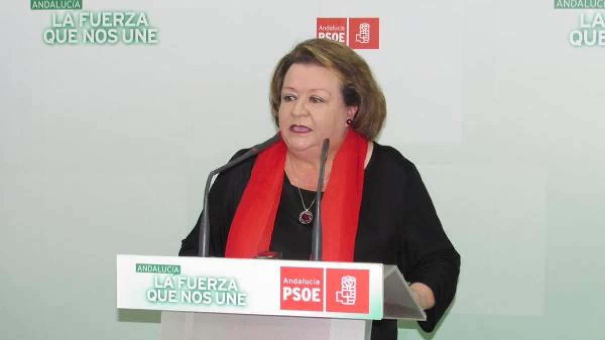 Portavoz del PSOE en la Diputación de Jaén.