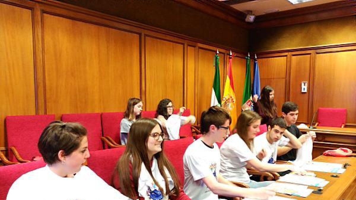 Estudiantes del IES Alto Almanzora, en el salón de plenos.
