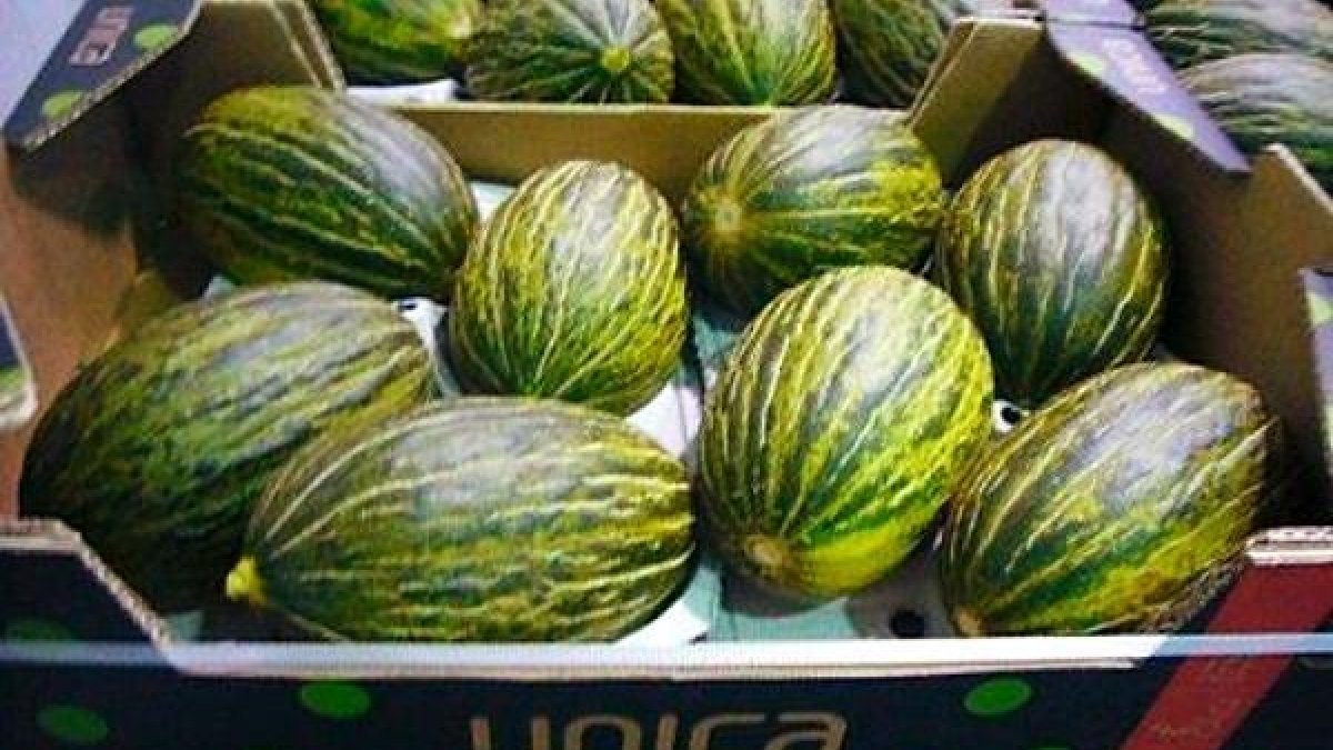 Melones