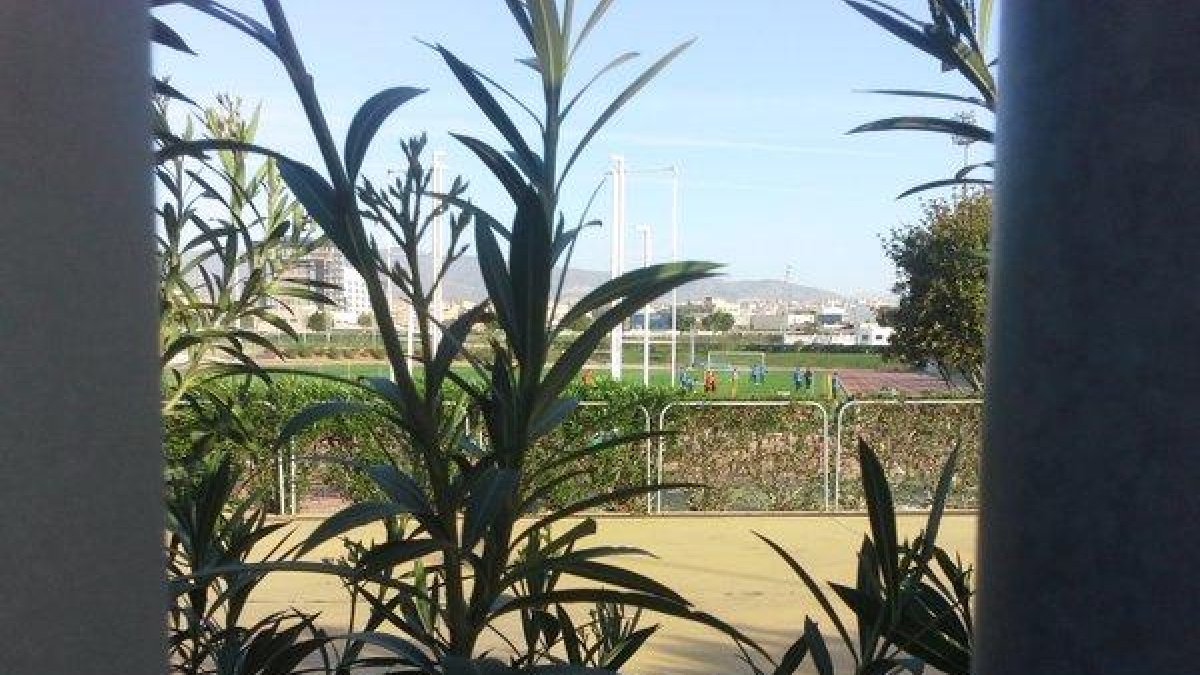 Imagen de este domingo por la mañana del Anexo.