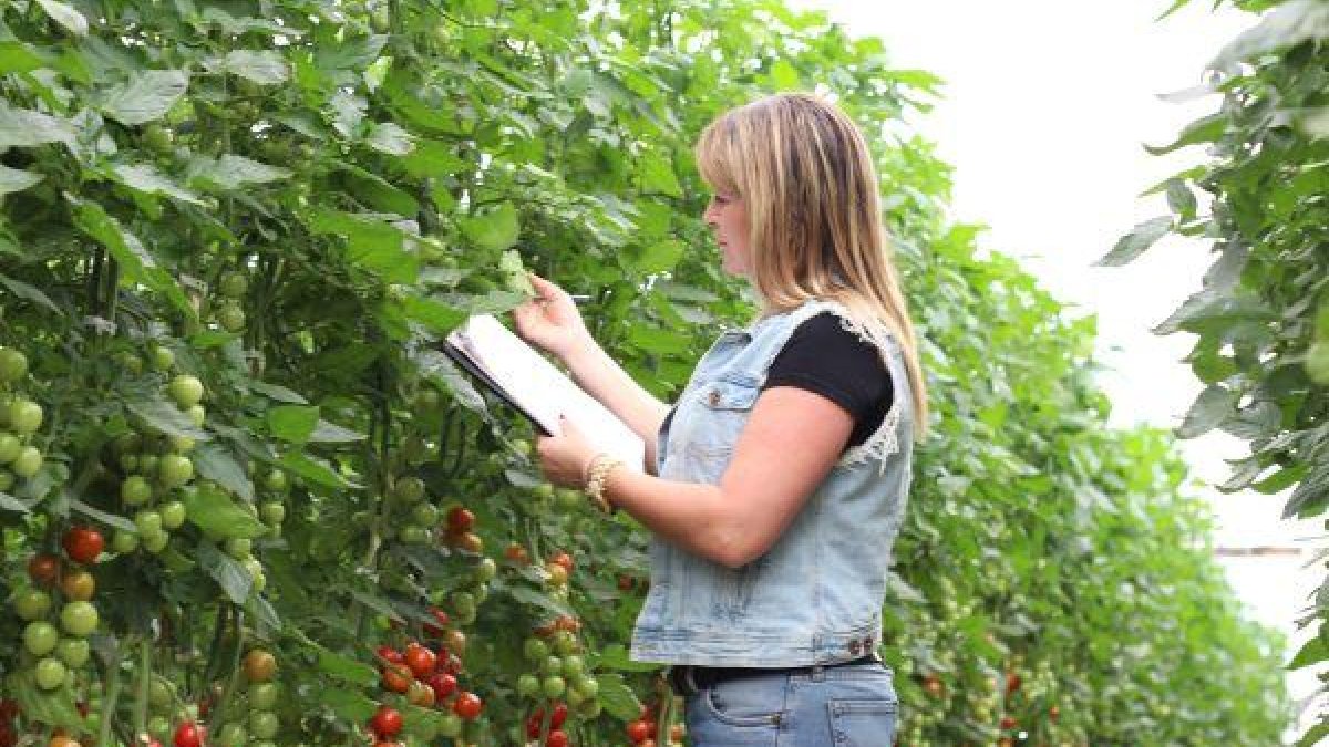 Foto del COITAAL que muestra el trabajo de un Ingeniero Agrónomo.
