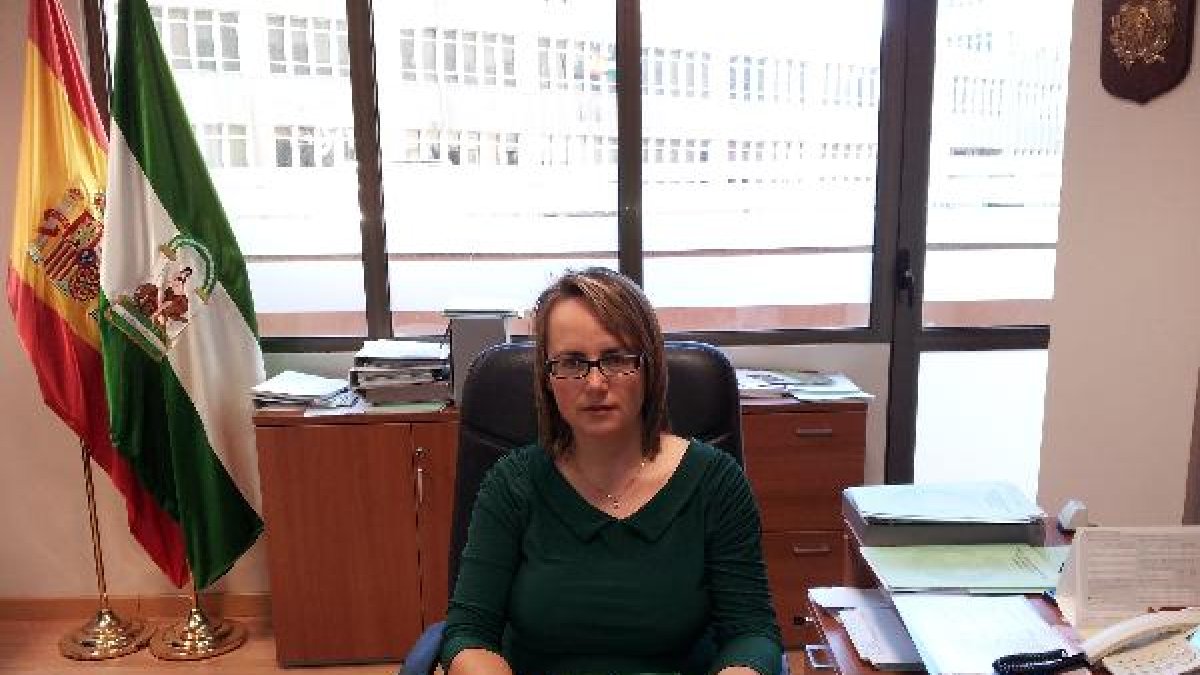 Teresa García, presidenta del COITAAL
