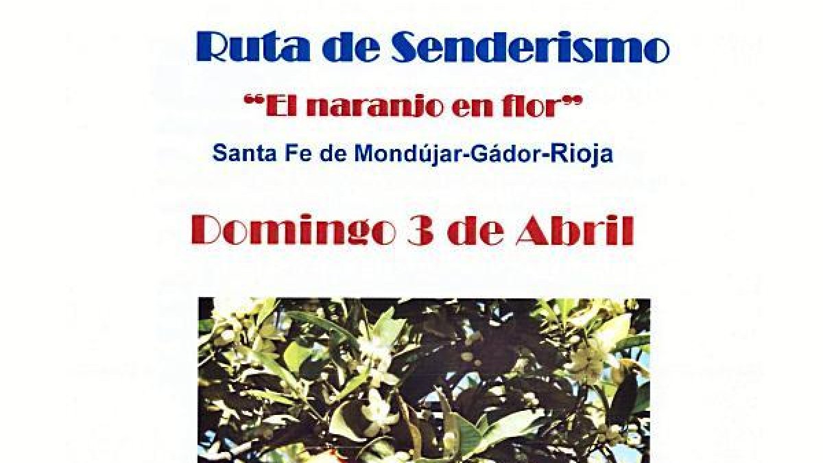 Una ruta que no te puedes perder.