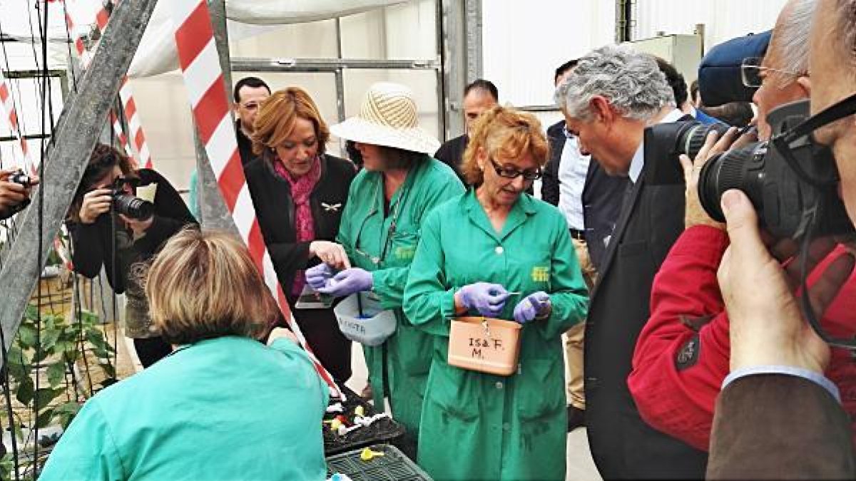 Carmen Ortiz con las polinizadoras de Semillas Fitó