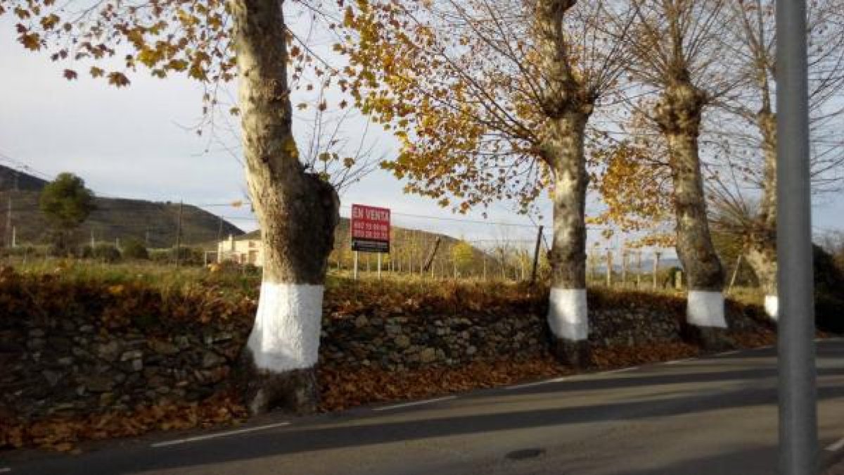 Parcela donde se edificarán los chalets.