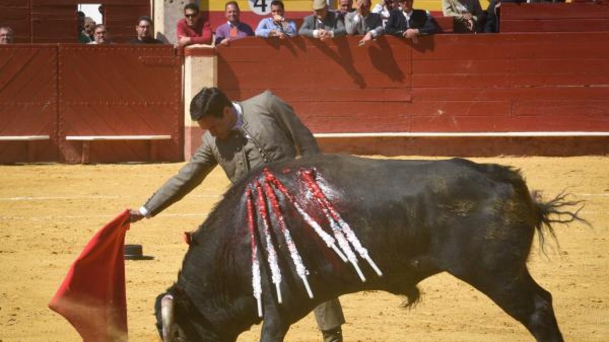 Torres Jerez, durante el festival del domingo (Foto: Baltasar Gálvez).